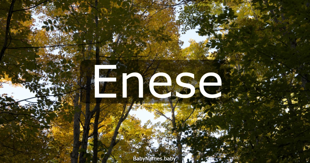 Enese