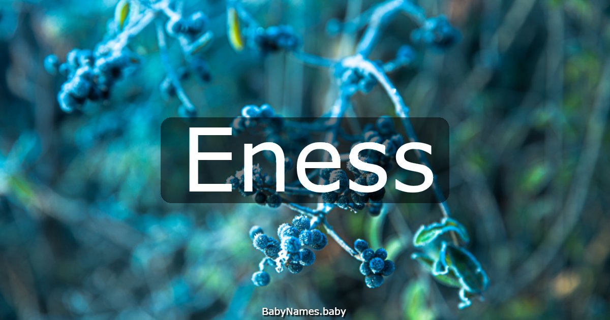 Eness