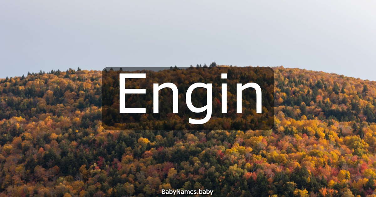 Engin