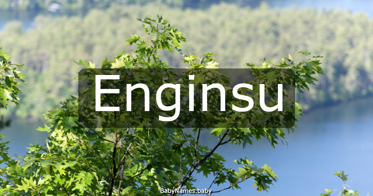 Enginsu