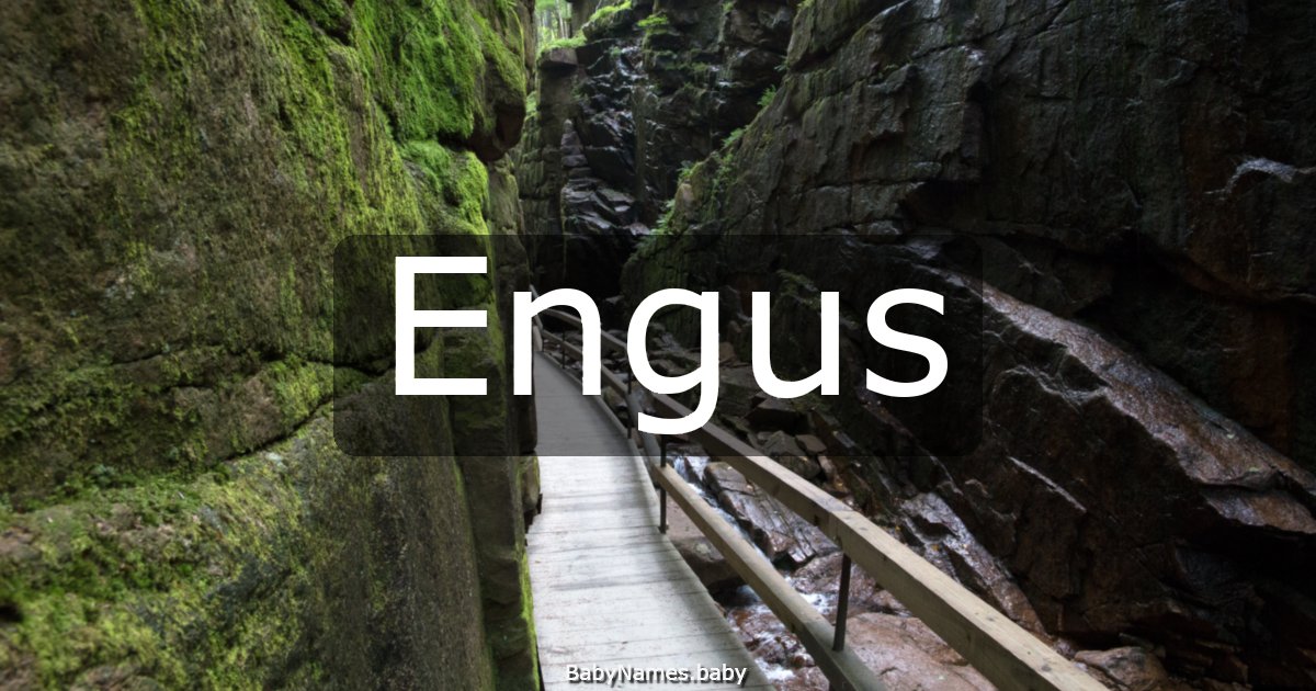 Engus