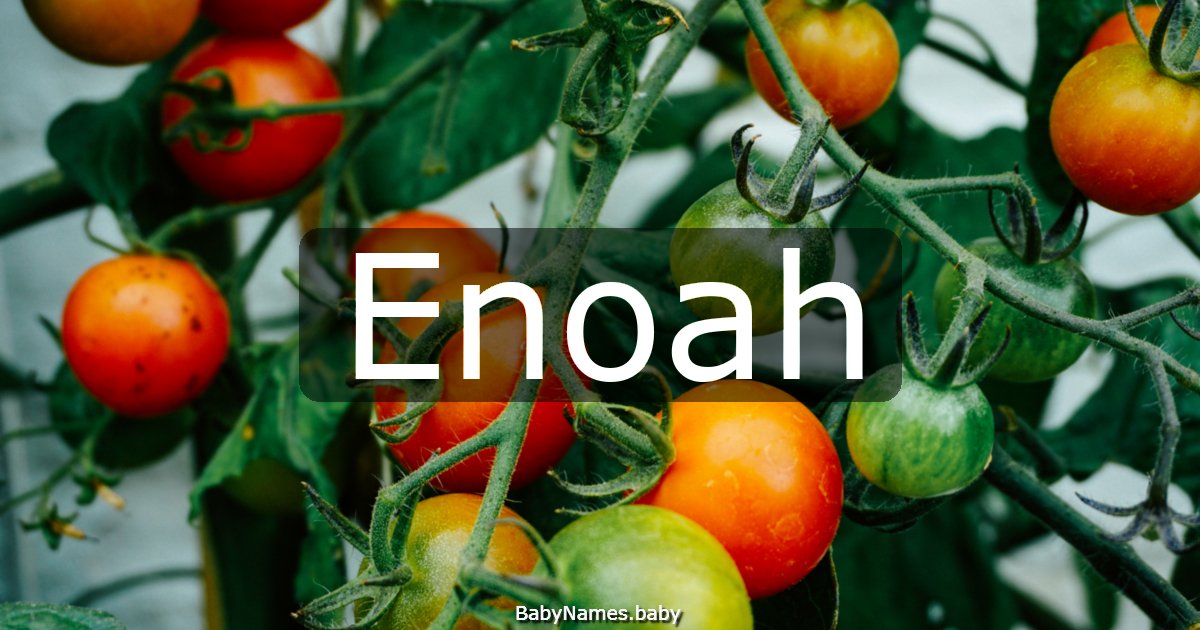 Enoah