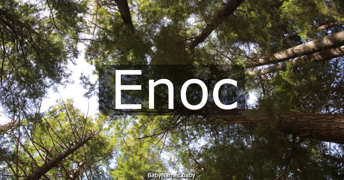 Enoc