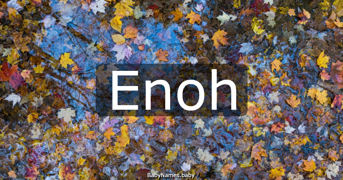 Enoh
