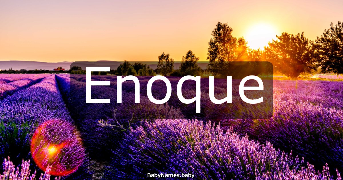 Enoque