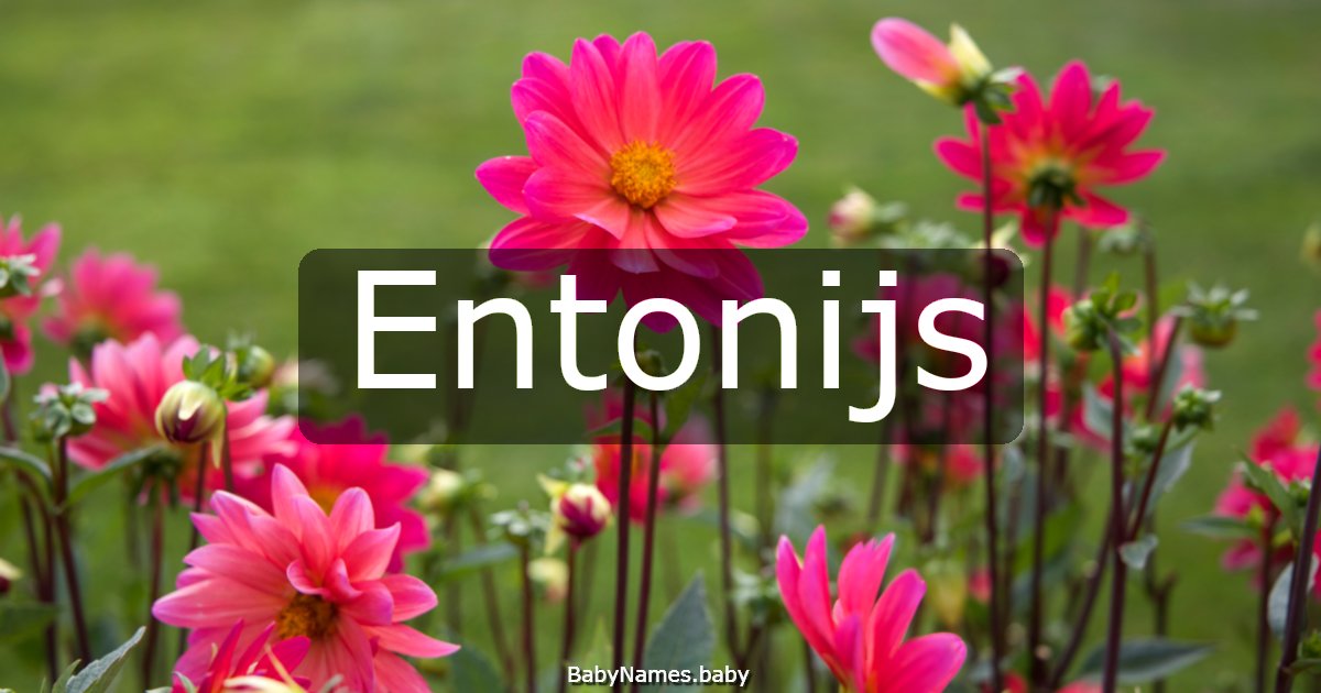 Entonijs