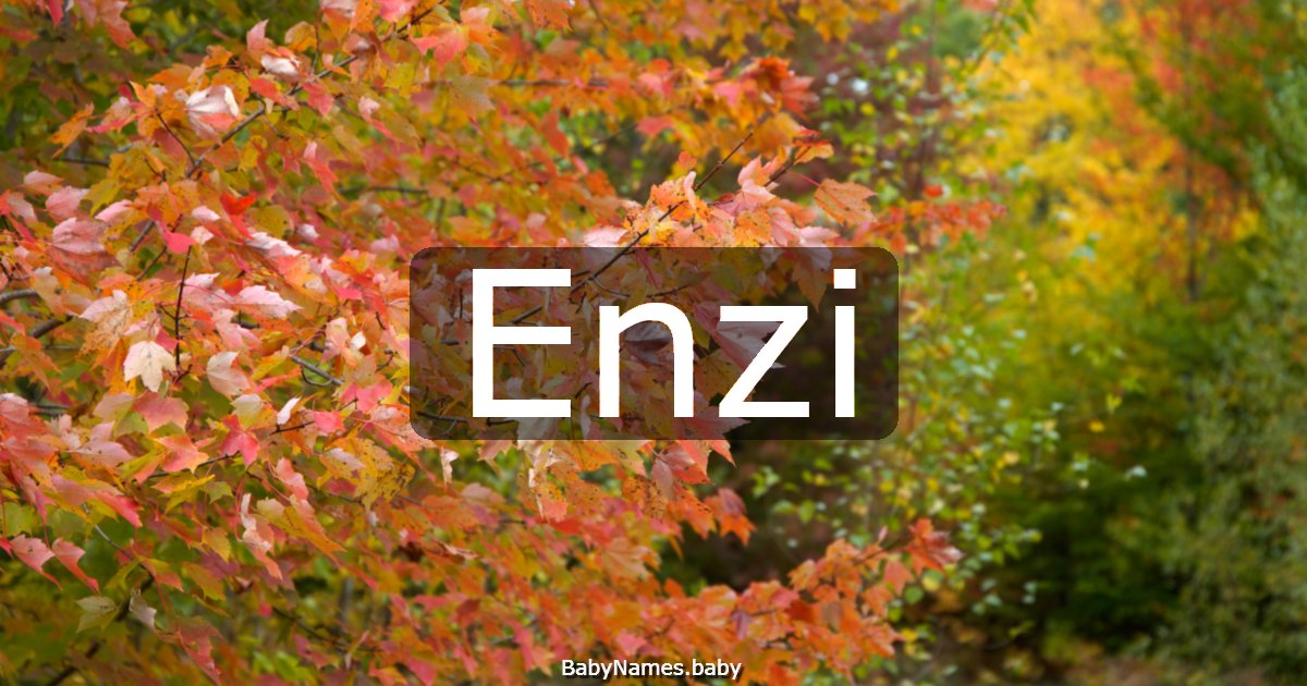 Enzi