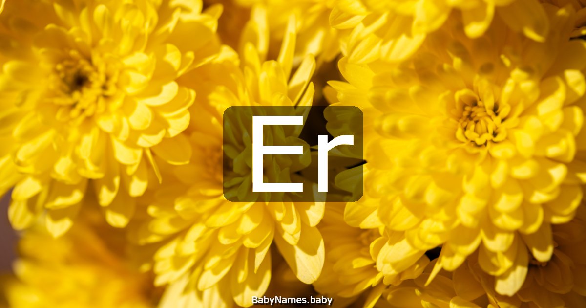 Er