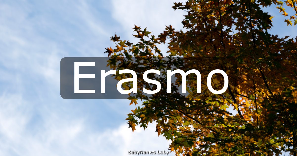 Erasmo