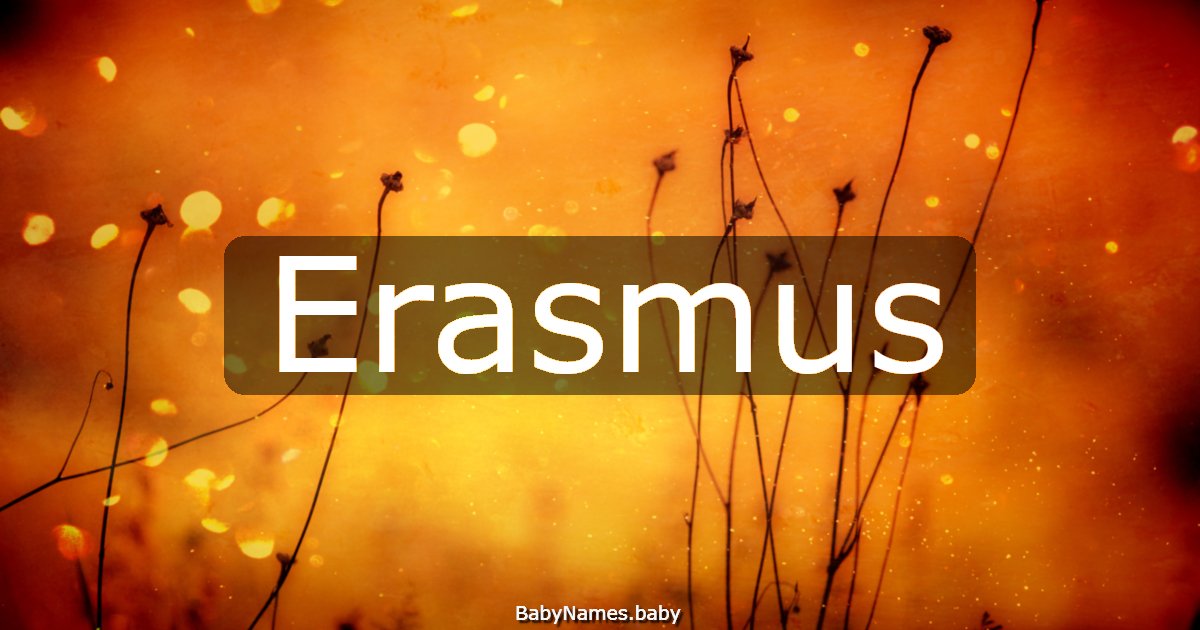 Erasmus
