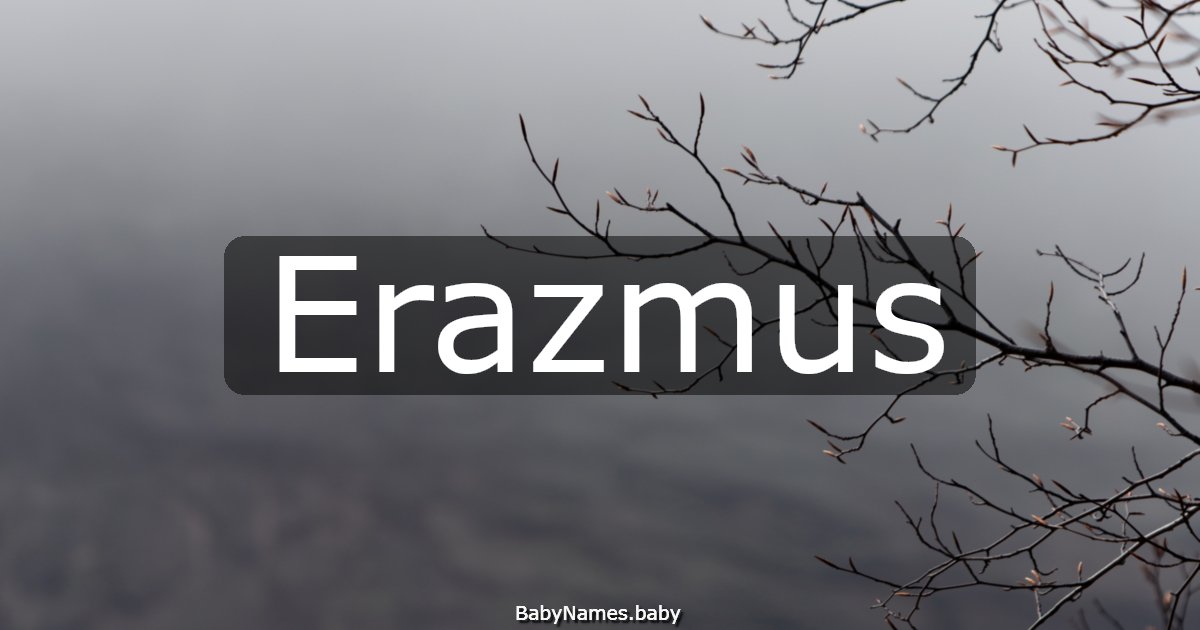 Erazmus