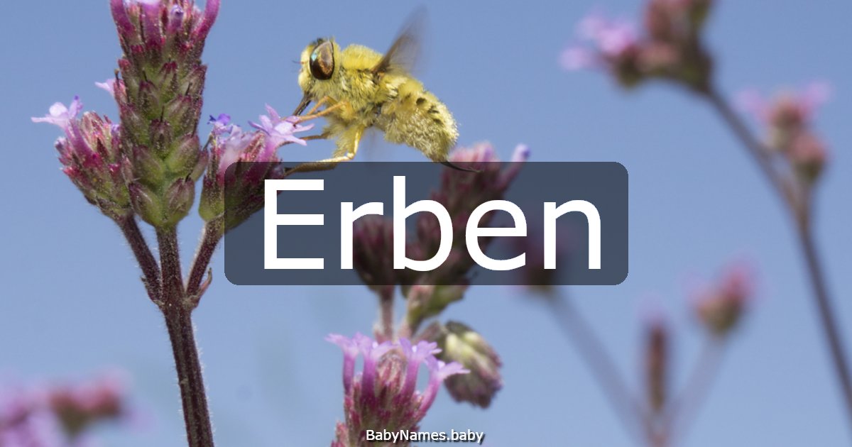 Erben