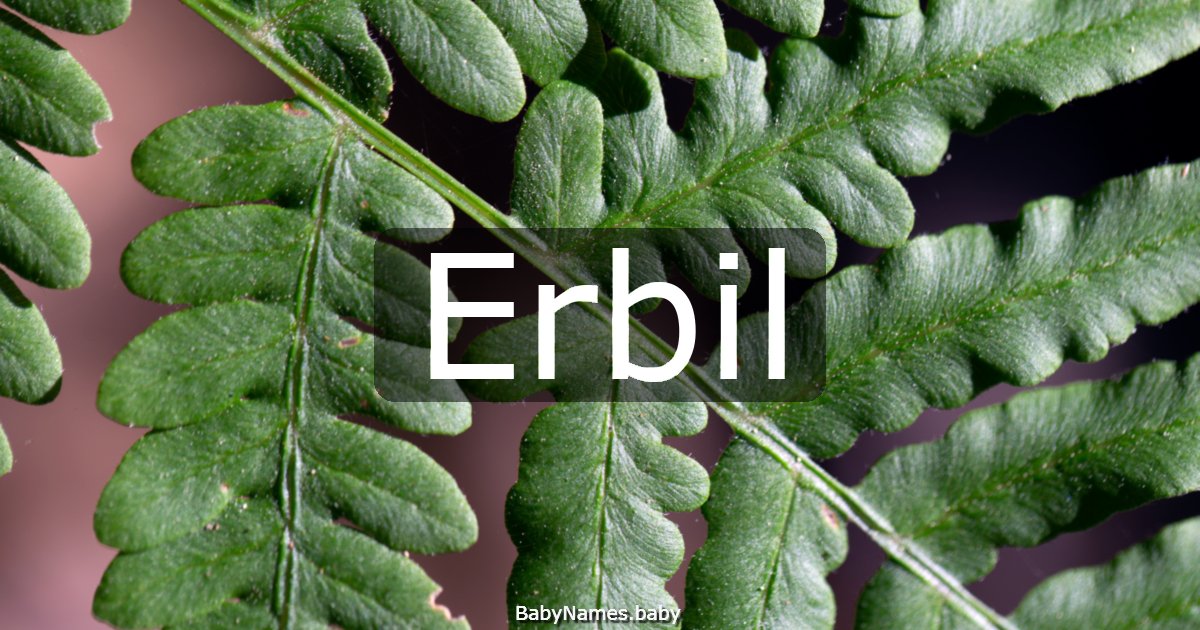 Erbil