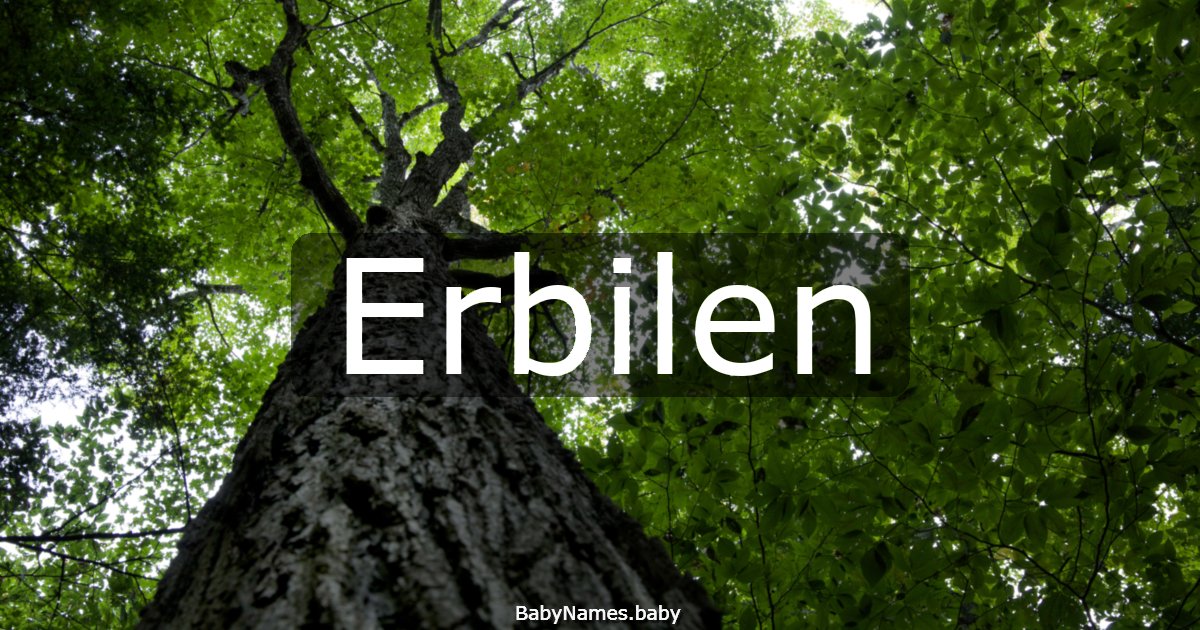 Erbilen