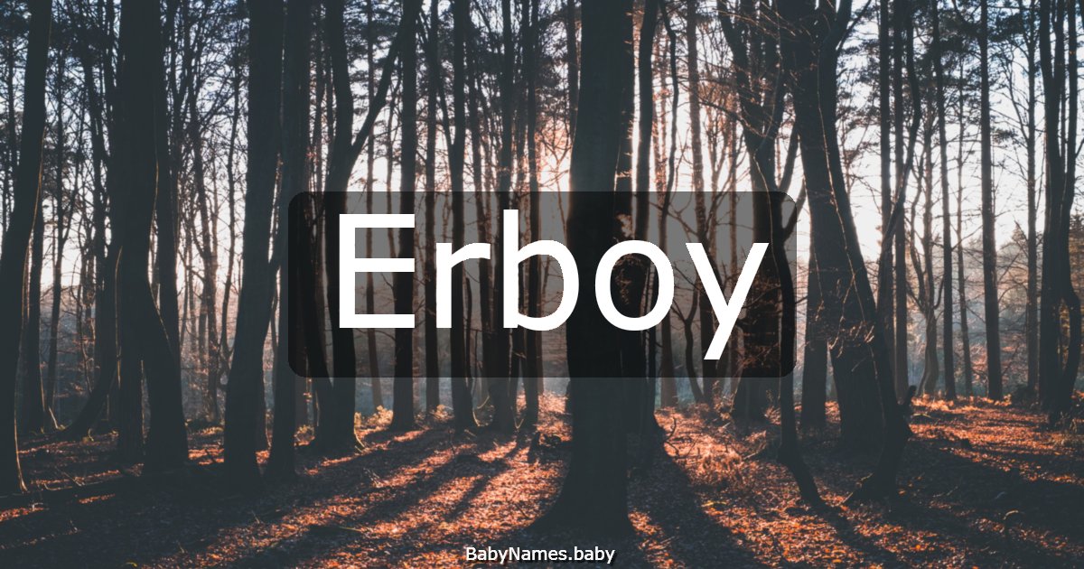 Erboy