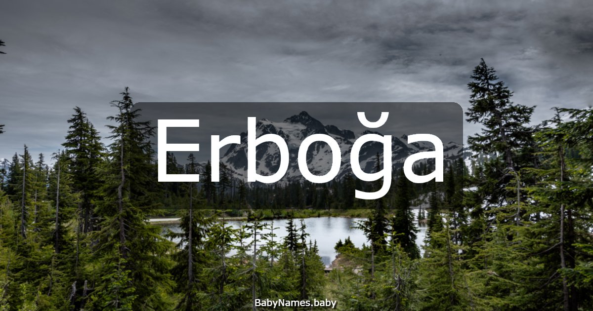 Erboğa