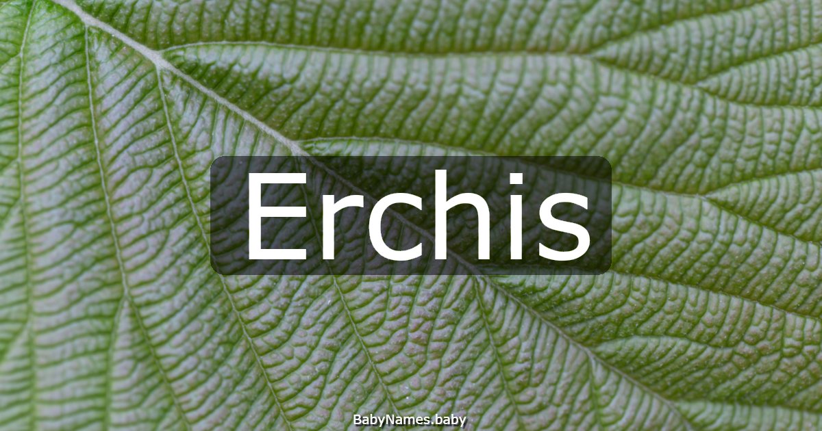 Erchis