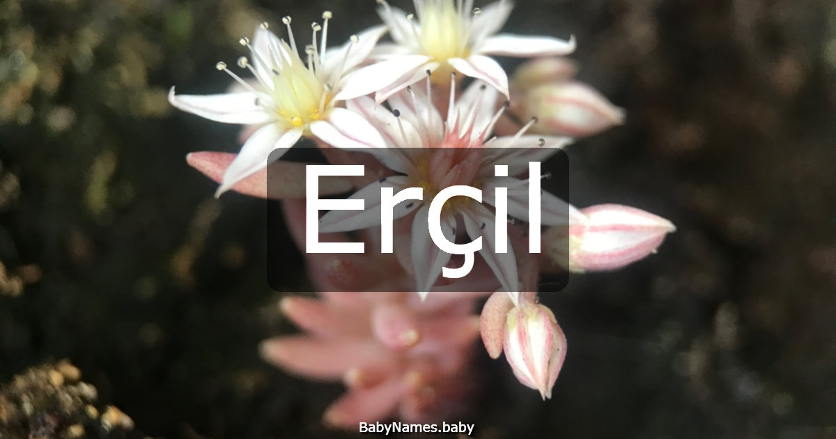 Erçil