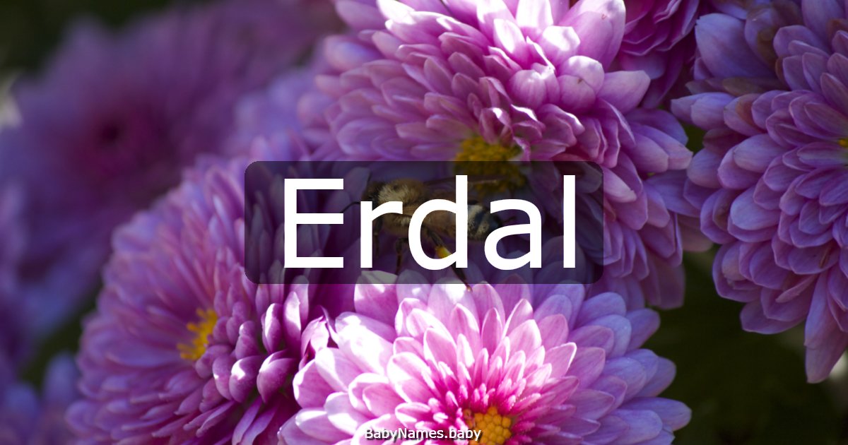 Erdal