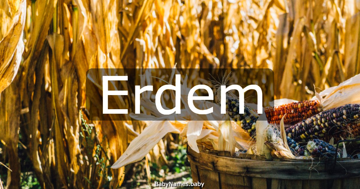Erdem