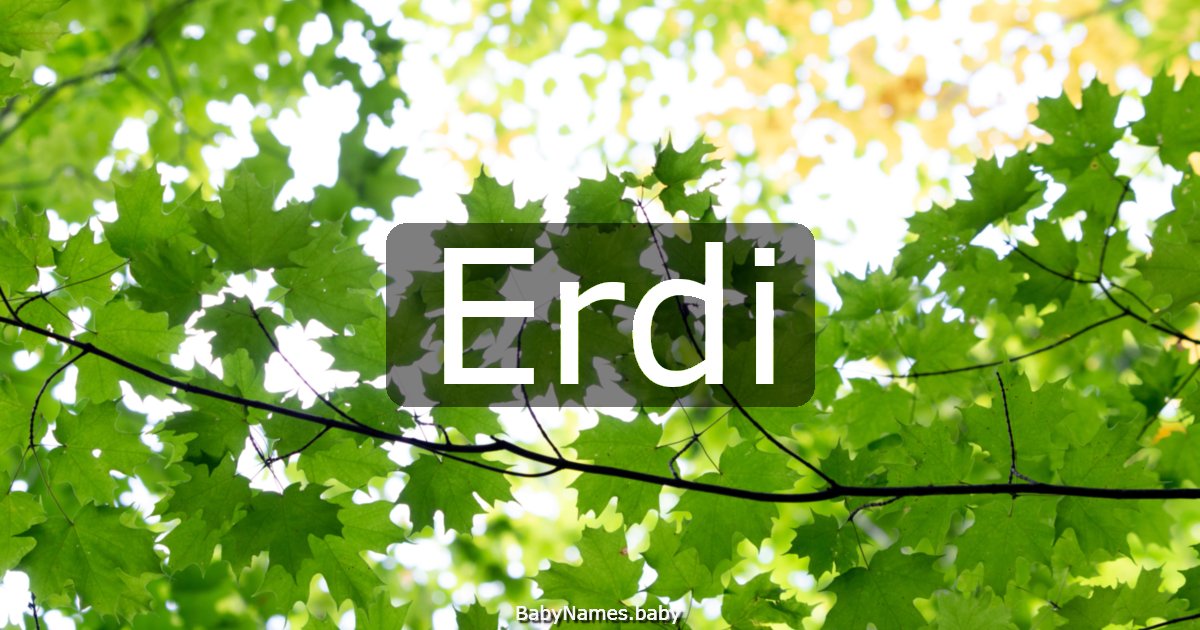 Erdi