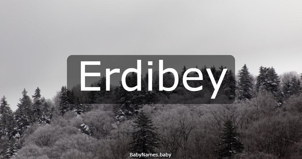 Erdibey