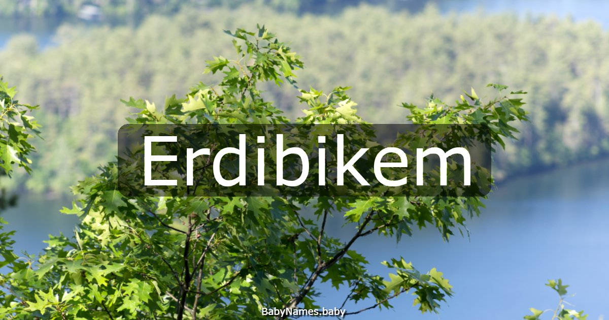 Erdibikem
