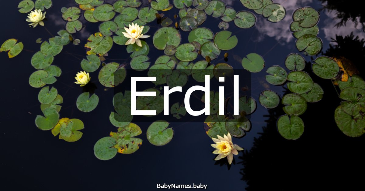 Erdil
