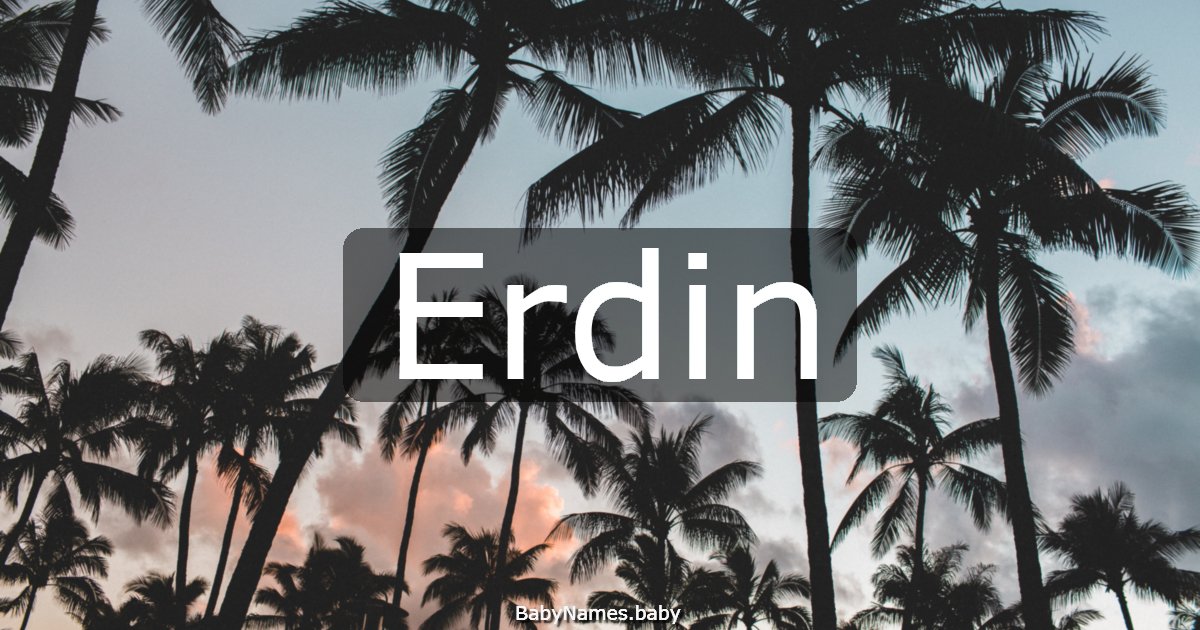 Erdin
