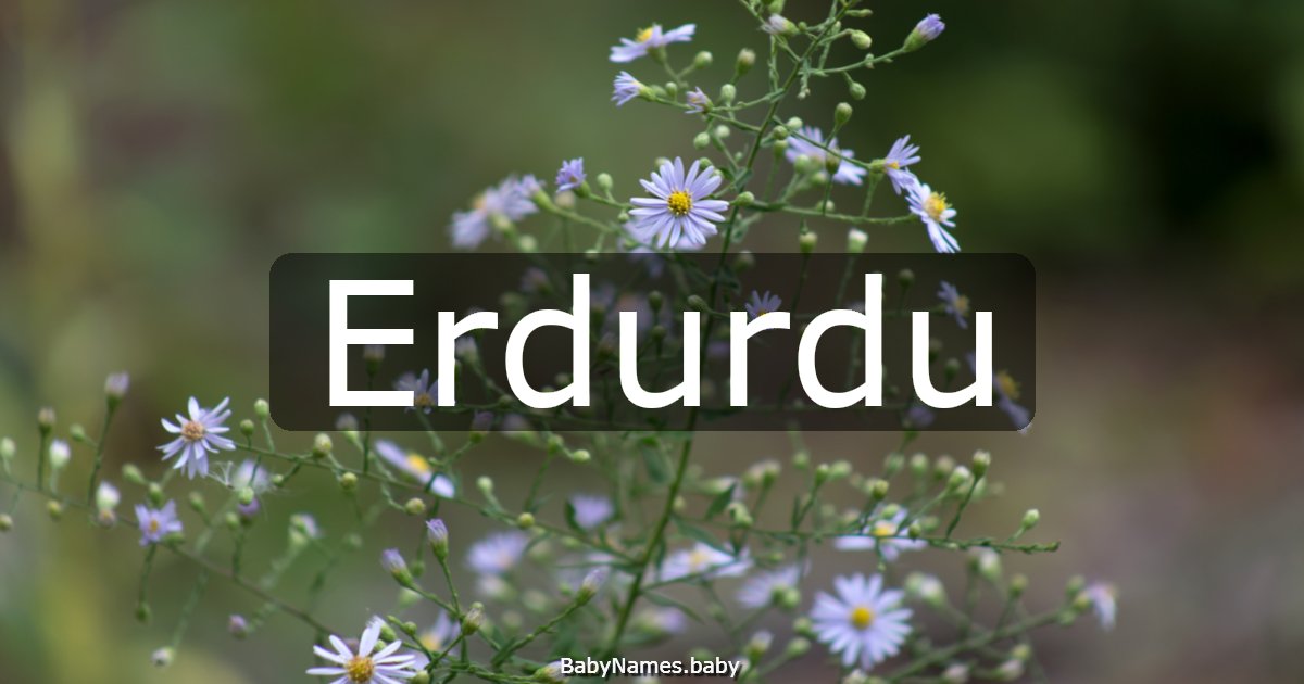 Erdurdu