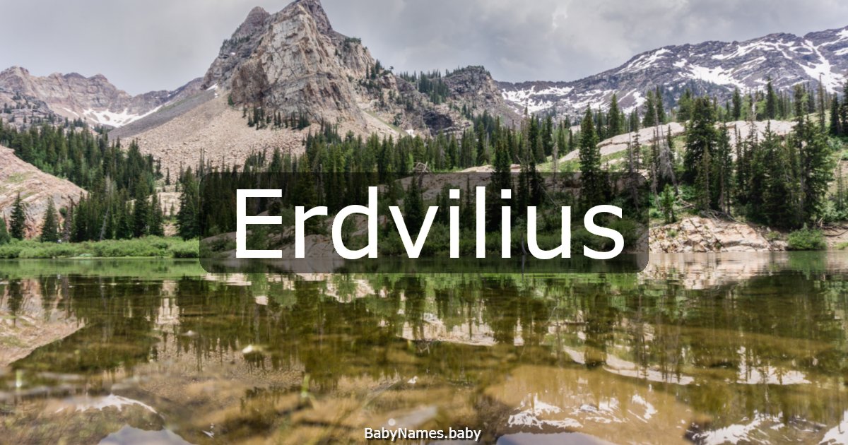 Erdvilius