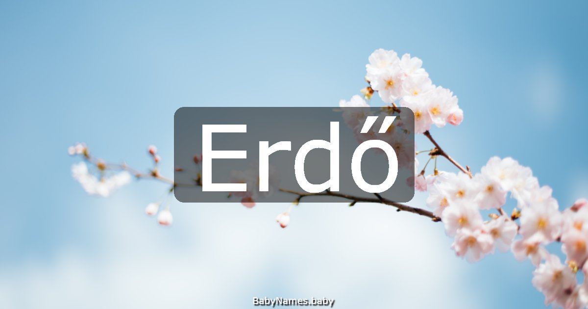 Erdő