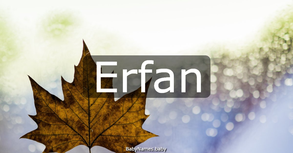 Erfan