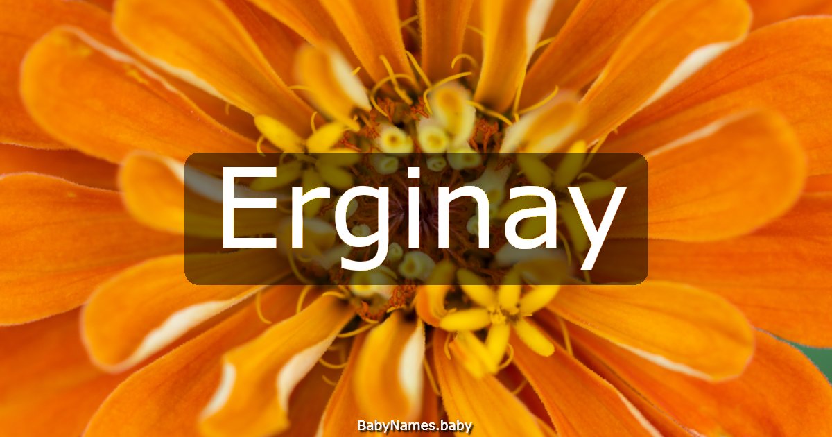 Erginay