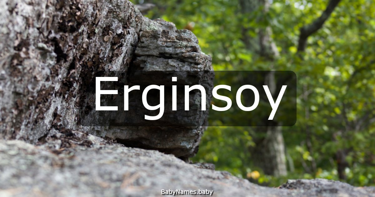 Erginsoy
