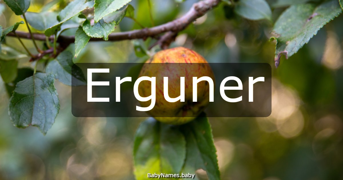 Erguner