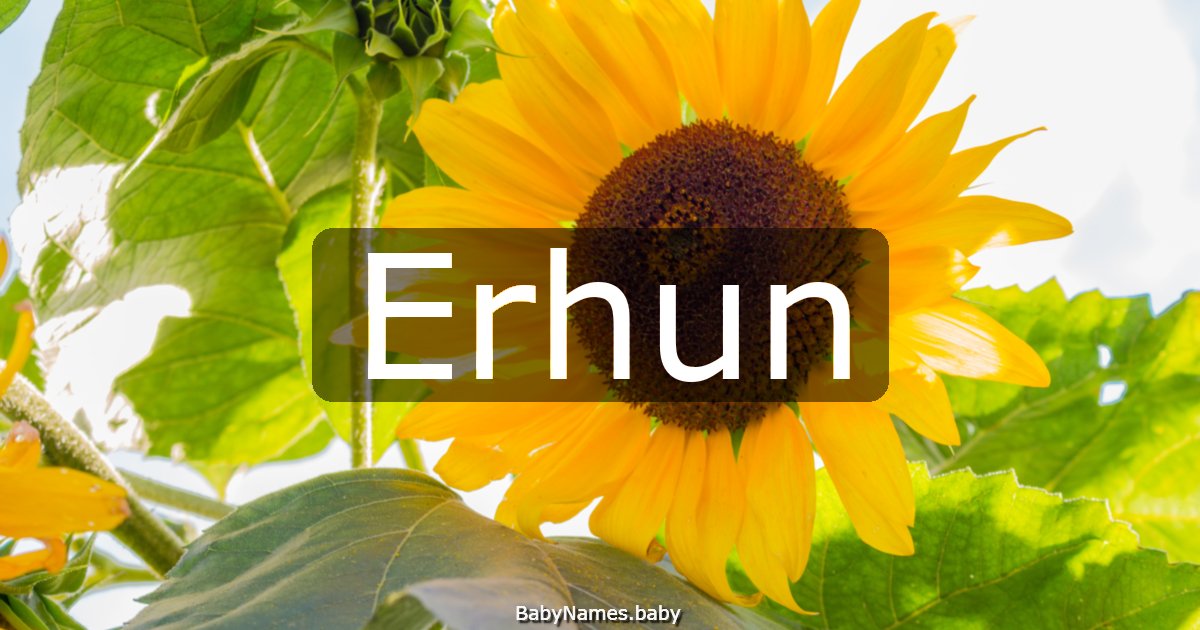 Erhun