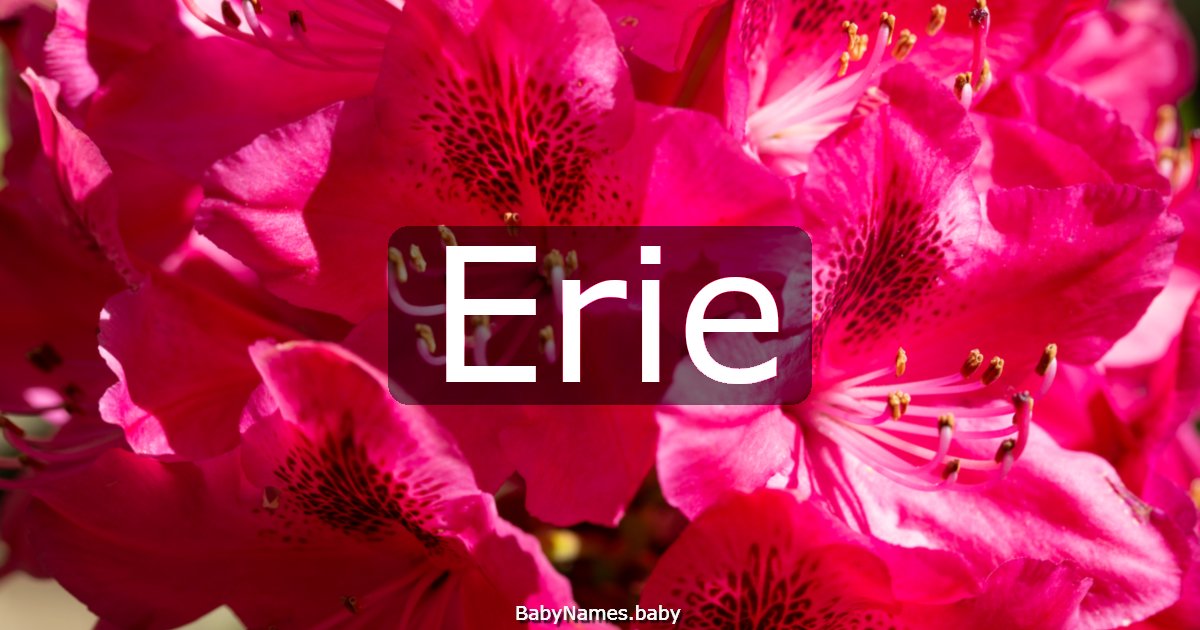 Erie