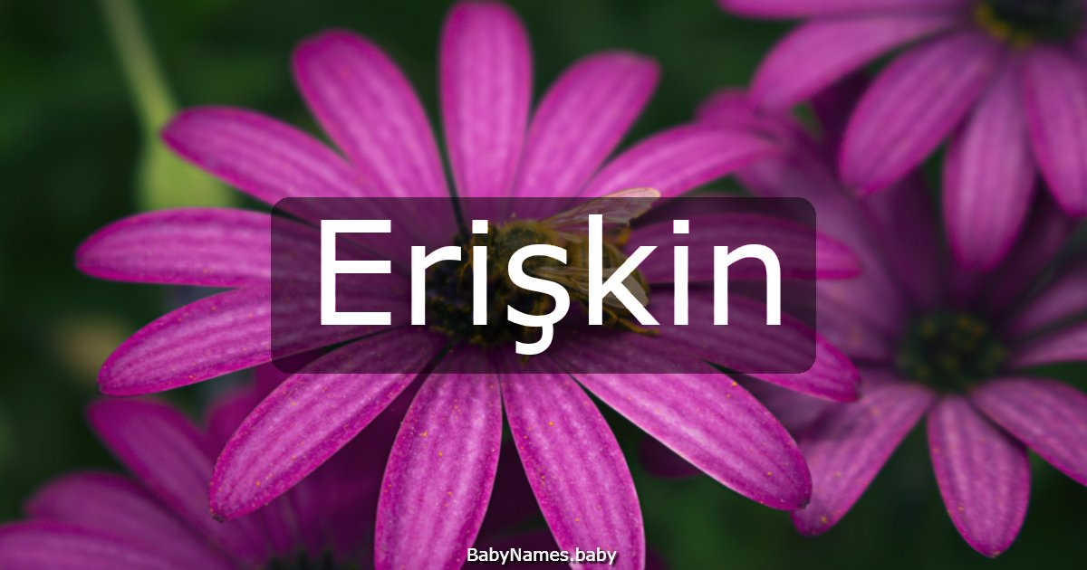 Erişkin