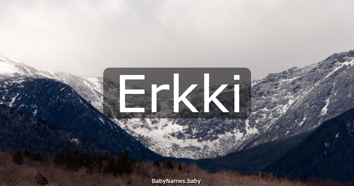 Erkki