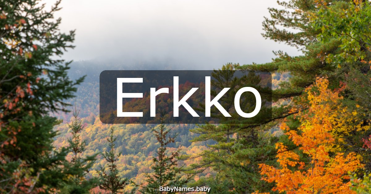 Erkko