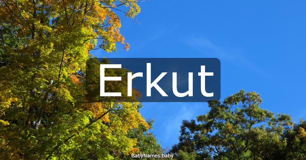 Erkut