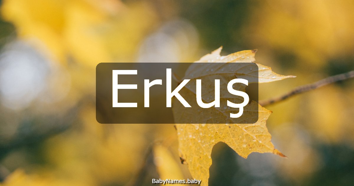 Erkuş