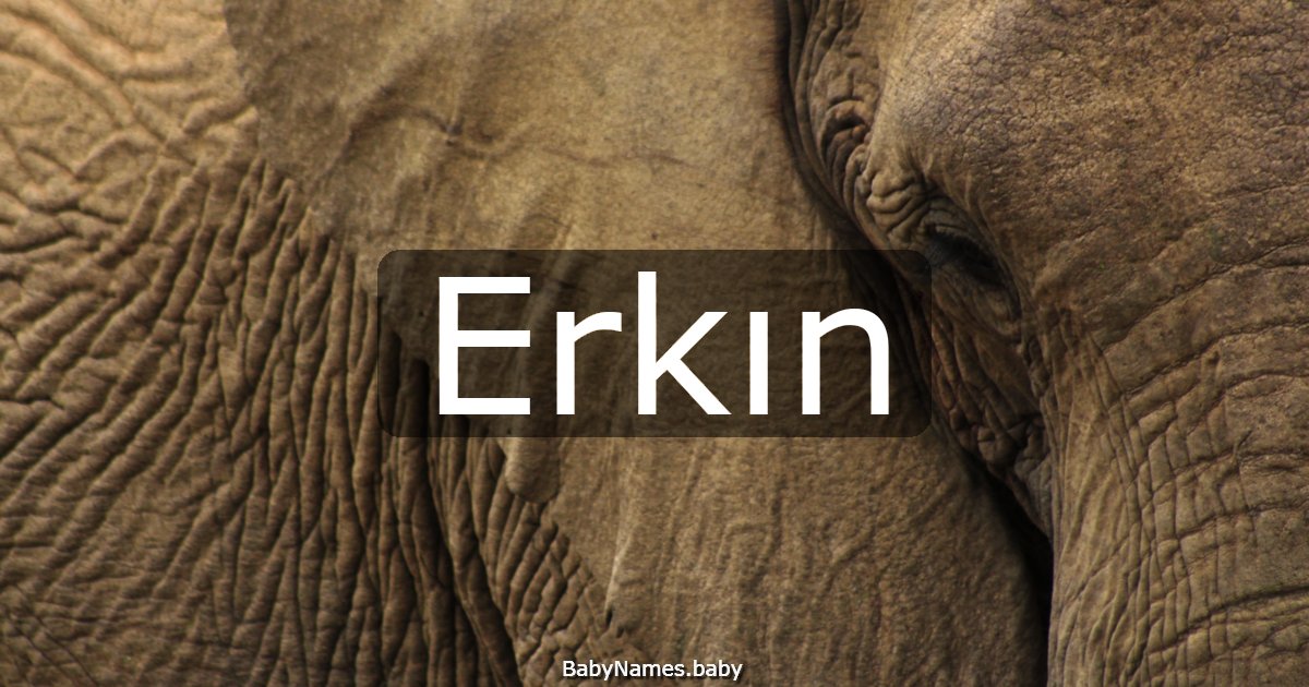 Erkın