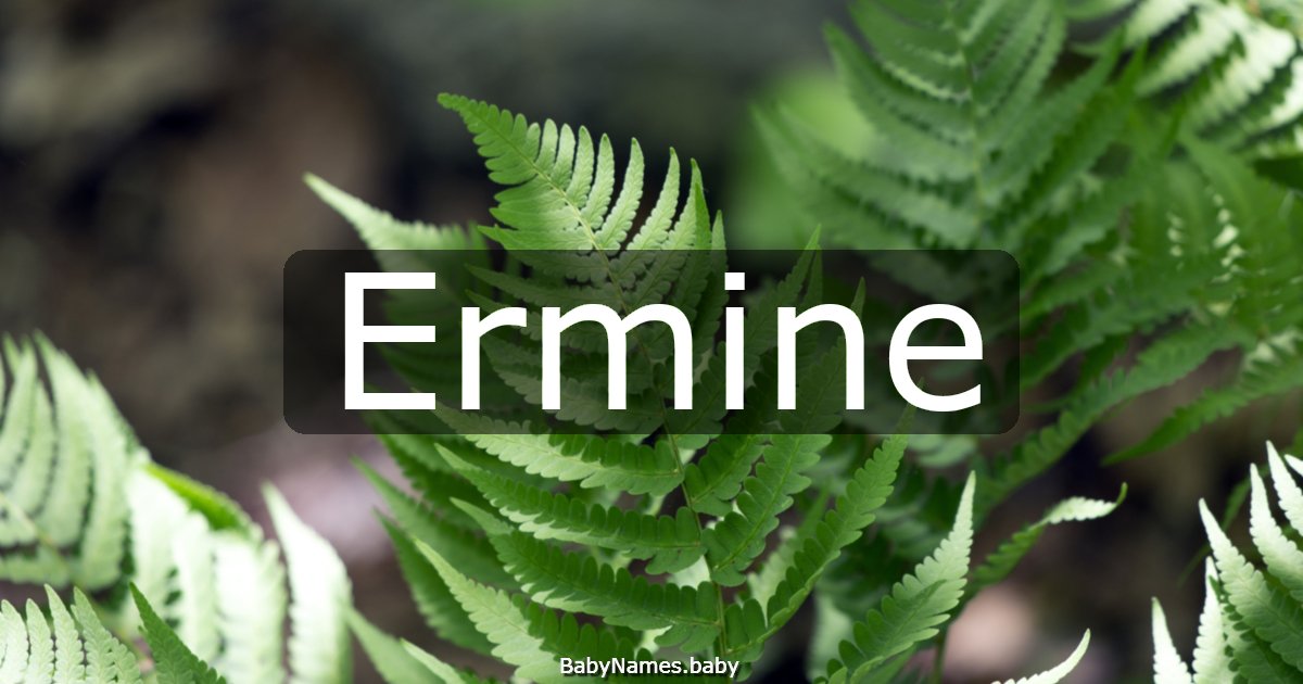 Ermine