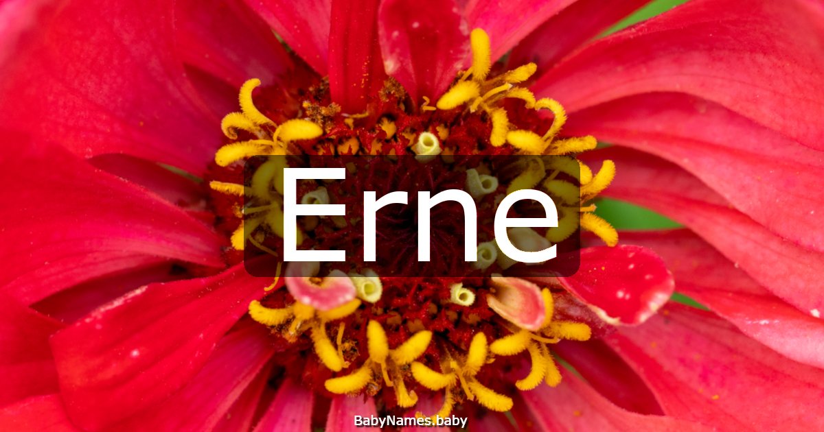 Erne