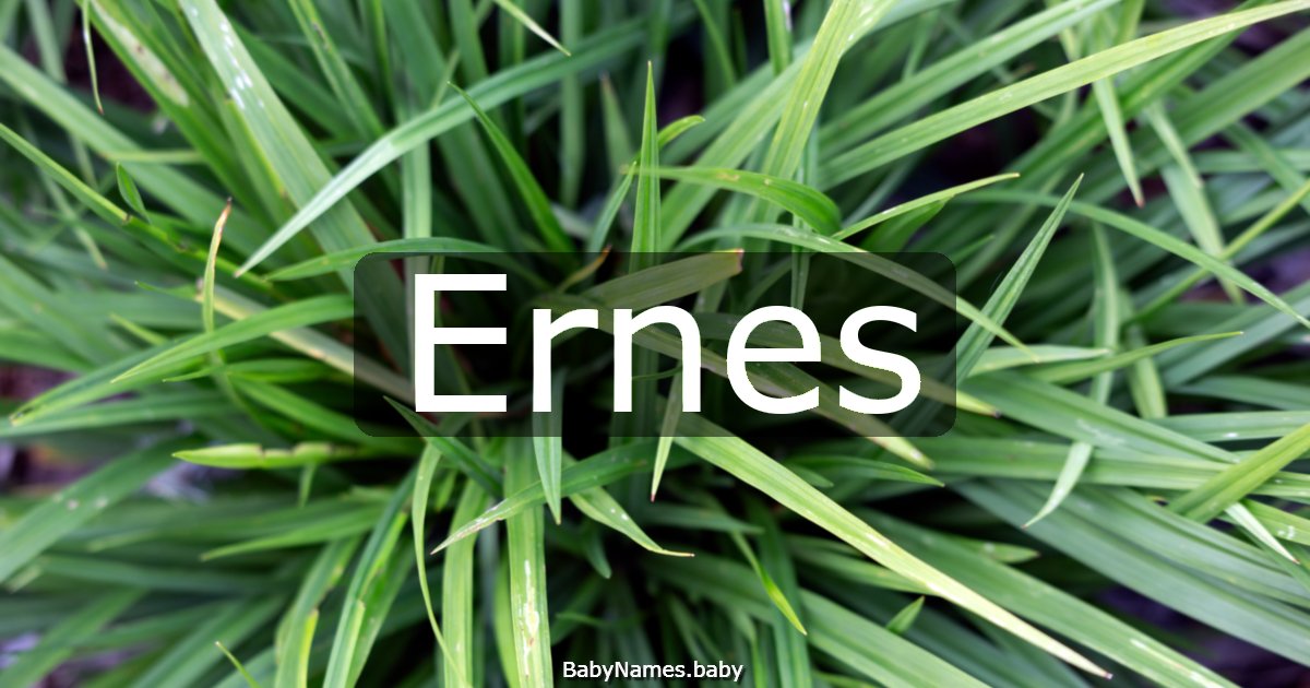 Ernes