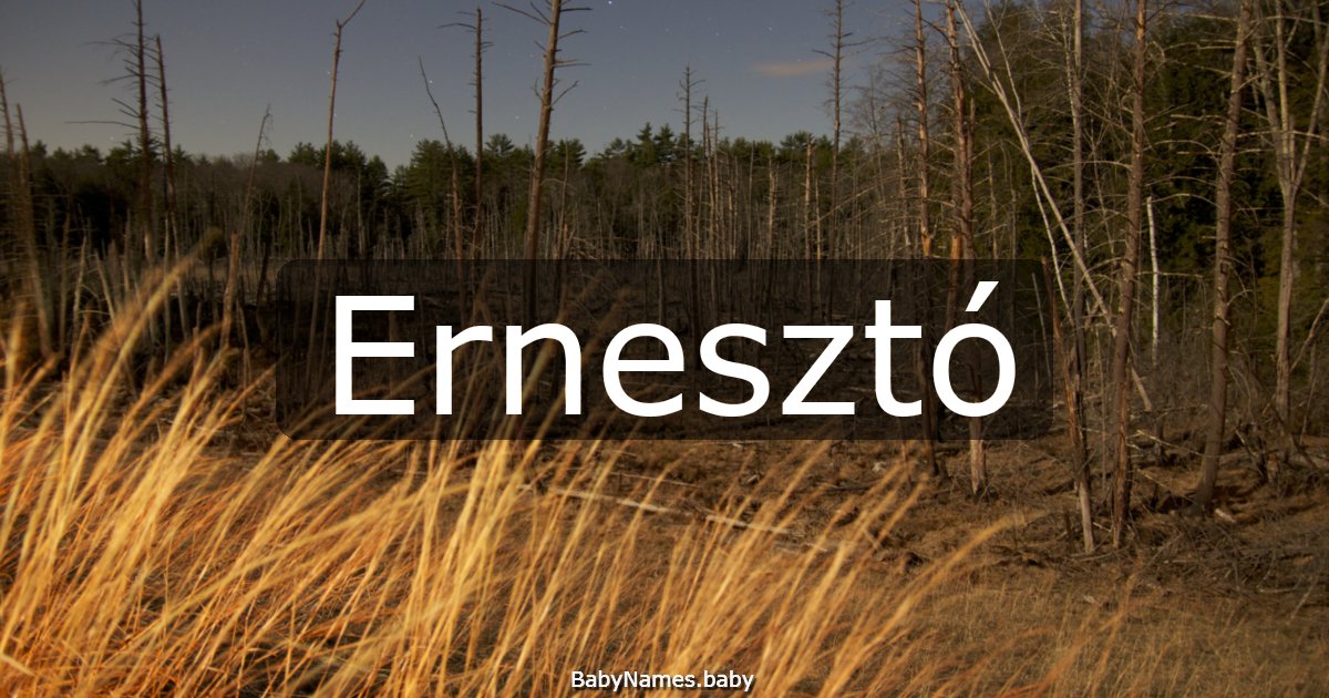 Ernesztó