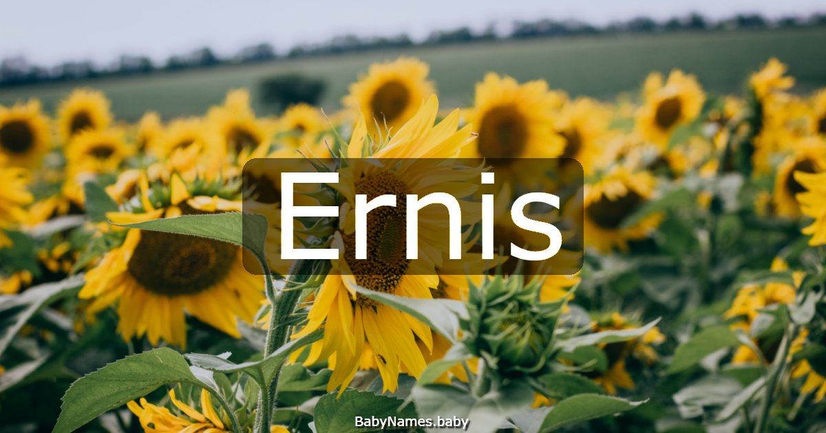 Ernis