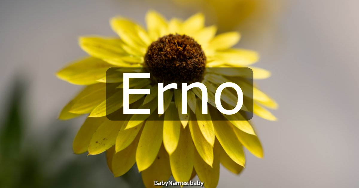Erno